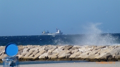 P1010791