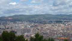 P1010845