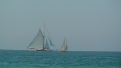 S1030019