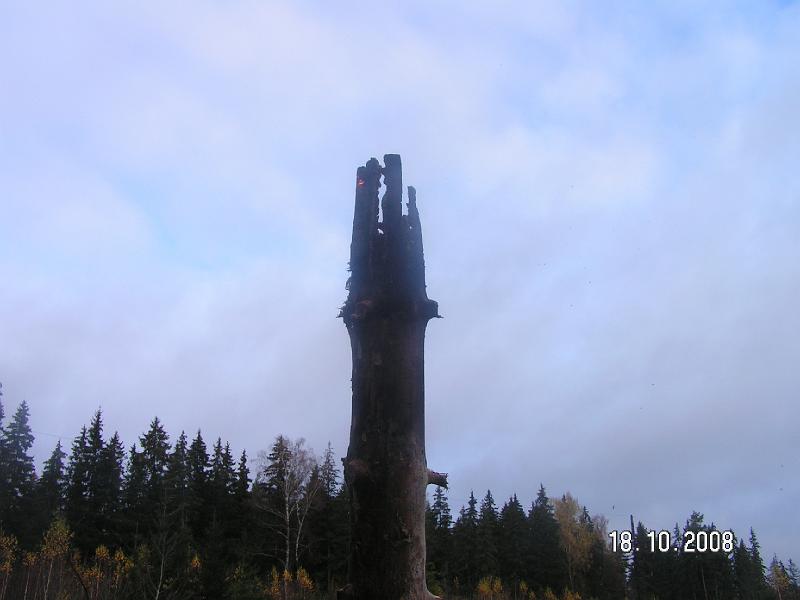 PICT3199.JPG