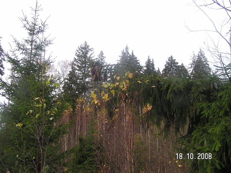 PICT3224.JPG